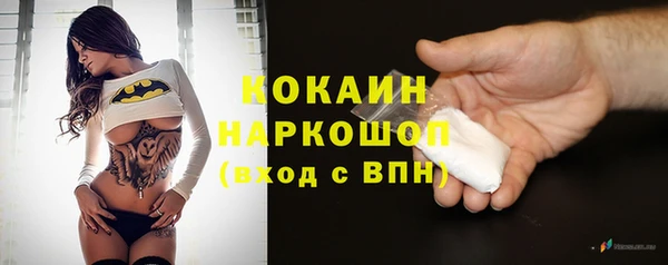 ГАЛЛЮЦИНОГЕННЫЕ ГРИБЫ Лагань