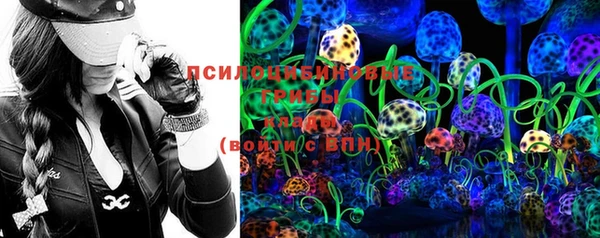 ГАЛЛЮЦИНОГЕННЫЕ ГРИБЫ Лагань