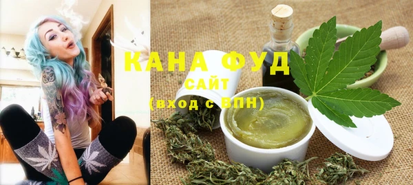 ГАЛЛЮЦИНОГЕННЫЕ ГРИБЫ Лагань