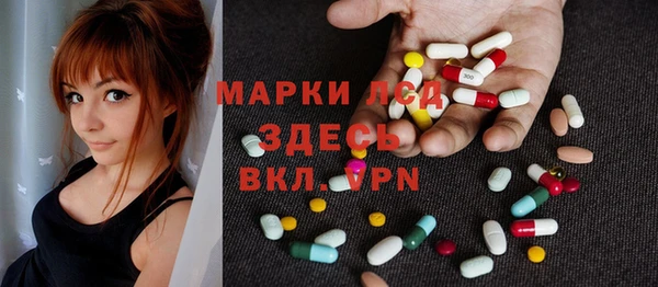 ГАЛЛЮЦИНОГЕННЫЕ ГРИБЫ Лагань