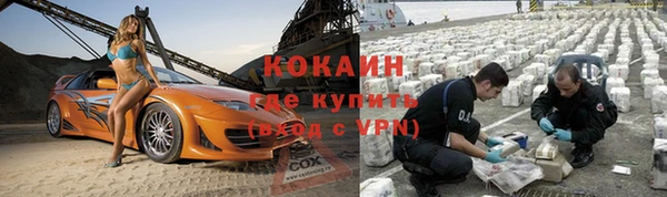 гидра Бутурлиновка